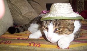 n&eacute;n&eacute; chapeau